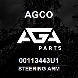 00113443U1 Agco STEERING ARM | AGA Parts