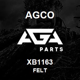 XB1163 Agco FELT | AGA Parts