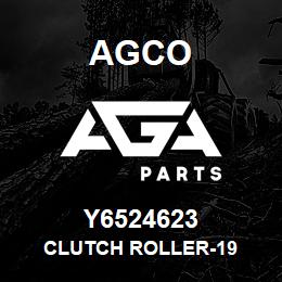 Y6524623 Agco CLUTCH ROLLER-19 | AGA Parts