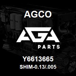 Y6613665 Agco SHIM-0.13/.005 | AGA Parts