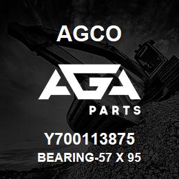 Y700113875 Agco BEARING-57 X 95 | AGA Parts