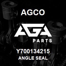 Y700134215 Agco ANGLE SEAL | AGA Parts