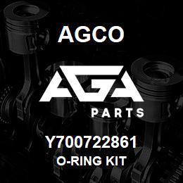 Y700722861 Agco O-RING KIT | AGA Parts