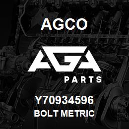 Y70934596 Agco BOLT METRIC | AGA Parts