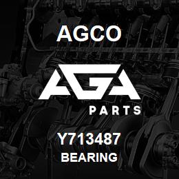 Y713487 Agco BEARING | AGA Parts