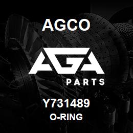 Y731489 Agco O-RING | AGA Parts