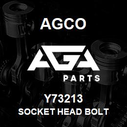 Y73213 Agco SOCKET HEAD BOLT | AGA Parts