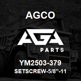 YM2503-379 Agco SETSCREW-5/8"-11 | AGA Parts