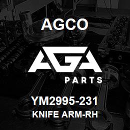 YM2995-231 Agco KNIFE ARM-RH | AGA Parts