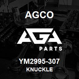 YM2995-307 Agco KNUCKLE | AGA Parts