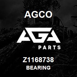 Z1168738 Agco BEARING | AGA Parts