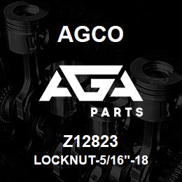 Z12823 Agco LOCKNUT-5/16"-18 | AGA Parts