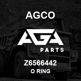 Z6566442 Agco O RING | AGA Parts