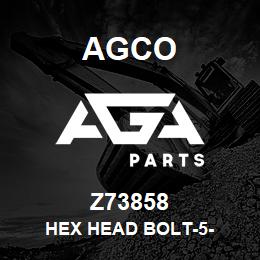 Z73858 Agco HEX HEAD BOLT-5- | AGA Parts