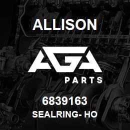 6839163 Allison SEALRING- HO | AGA Parts