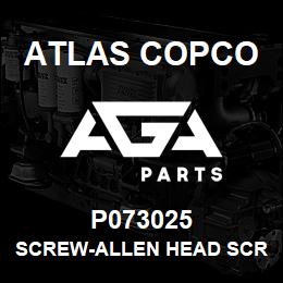 P073025 Atlas Copco SCREW-ALLEN HEAD SCREW | AGA Parts