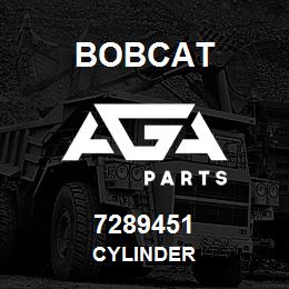 7289451 Bobcat CYLINDER | AGA Parts