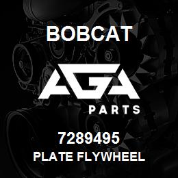7289495 Bobcat PLATE FLYWHEEL | AGA Parts