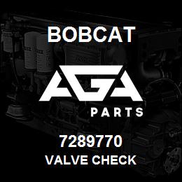 7289770 Bobcat VALVE CHECK | AGA Parts