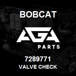 7289771 Bobcat VALVE CHECK | AGA Parts