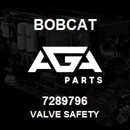 7289796 Bobcat VALVE SAFETY | AGA Parts