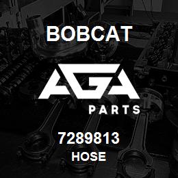 7289813 Bobcat HOSE | AGA Parts