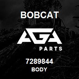 7289844 Bobcat BODY | AGA Parts