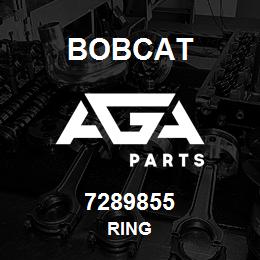 7289855 Bobcat RING | AGA Parts