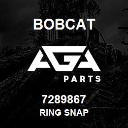 7289867 Bobcat RING SNAP | AGA Parts