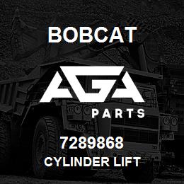 7289868 Bobcat CYLINDER LIFT | AGA Parts