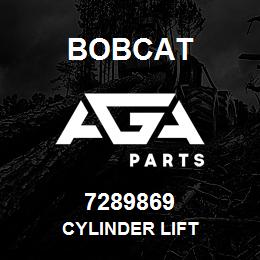 7289869 Bobcat CYLINDER LIFT | AGA Parts