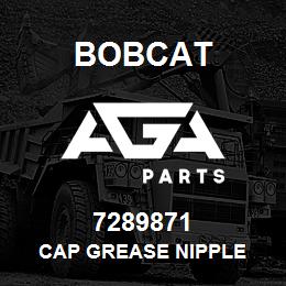 7289871 Bobcat CAP GREASE NIPPLE | AGA Parts