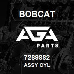 7289882 Bobcat ASSY CYL | AGA Parts