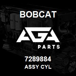 7289884 Bobcat ASSY CYL | AGA Parts