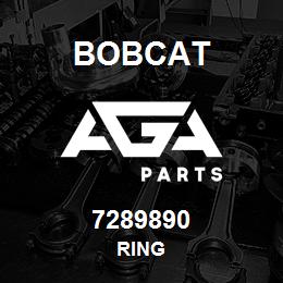 7289890 Bobcat RING | AGA Parts