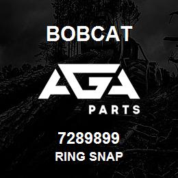 7289899 Bobcat RING SNAP | AGA Parts