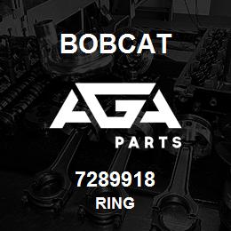 7289918 Bobcat RING | AGA Parts