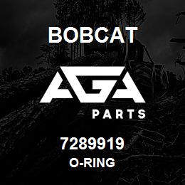 7289919 Bobcat O-RING | AGA Parts