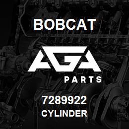 7289922 Bobcat CYLINDER | AGA Parts