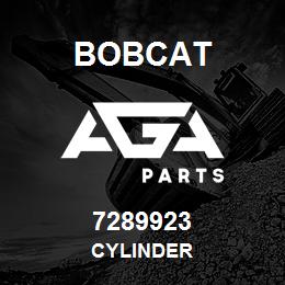 7289923 Bobcat CYLINDER | AGA Parts