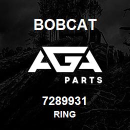 7289931 Bobcat RING | AGA Parts