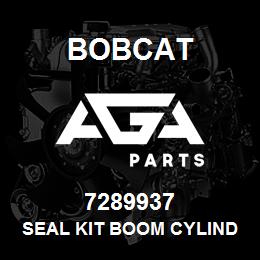 7289937 Bobcat SEAL KIT BOOM CYLINDER | AGA Parts