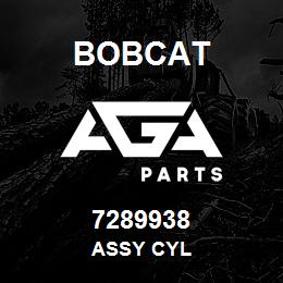 7289938 Bobcat ASSY CYL | AGA Parts