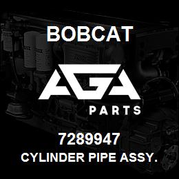 7289947 Bobcat CYLINDER PIPE ASSY. | AGA Parts