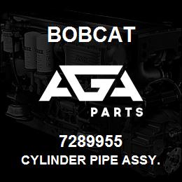 7289955 Bobcat CYLINDER PIPE ASSY. | AGA Parts