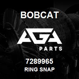 7289965 Bobcat RING SNAP | AGA Parts