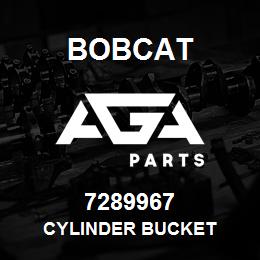 7289967 Bobcat CYLINDER BUCKET | AGA Parts