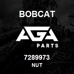 7289973 Bobcat NUT | AGA Parts