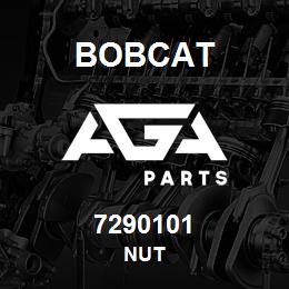 7290101 Bobcat NUT | AGA Parts