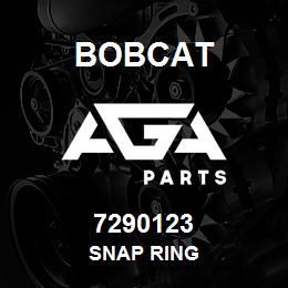 7290123 Bobcat SNAP RING | AGA Parts